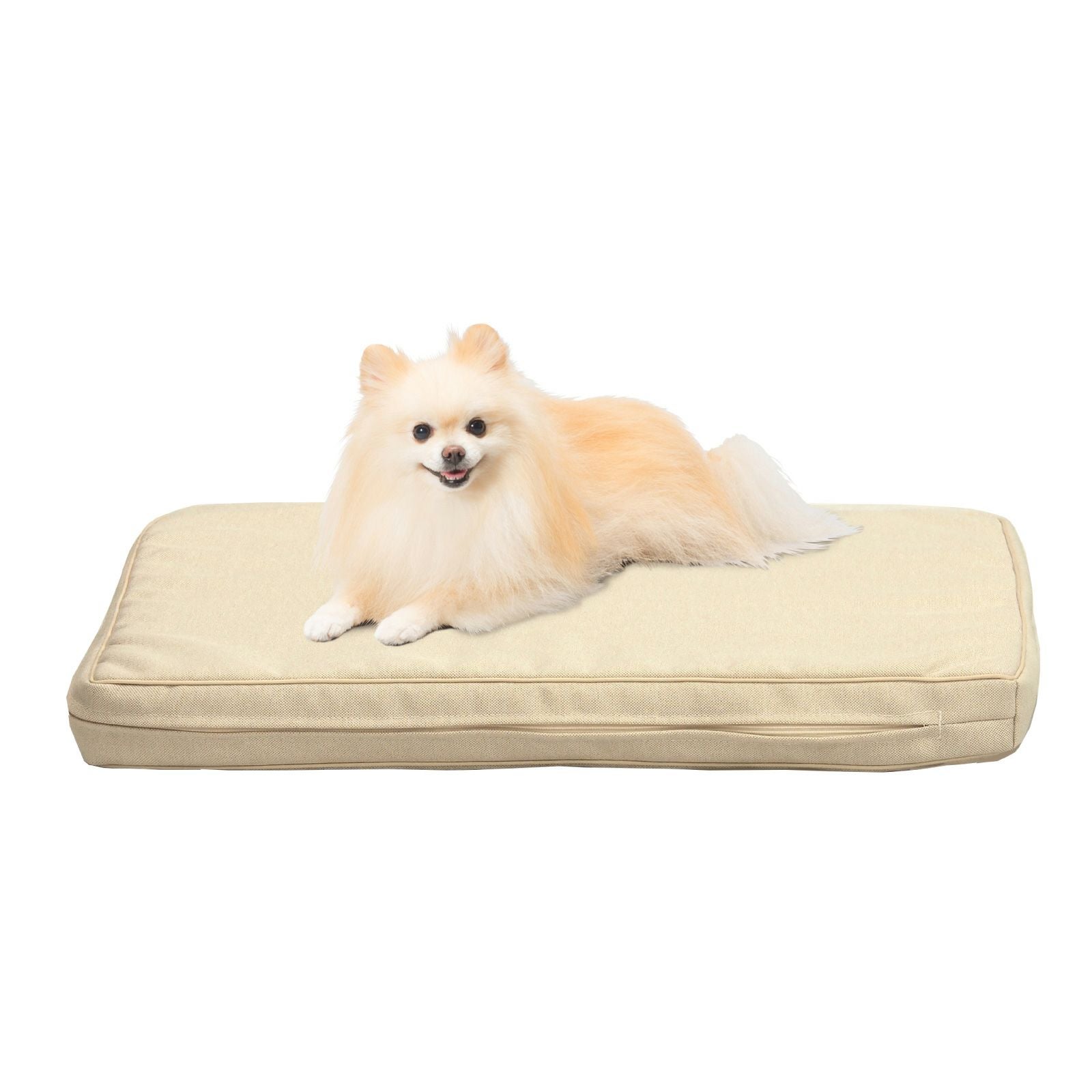 ペット用品 | 爽快潔Living