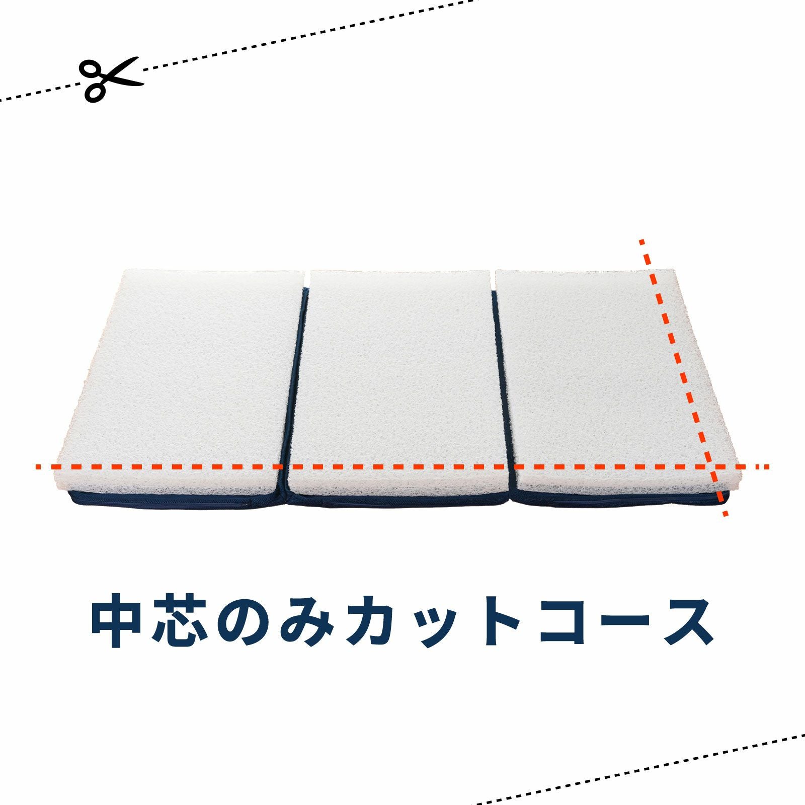 中芯のみカットコース