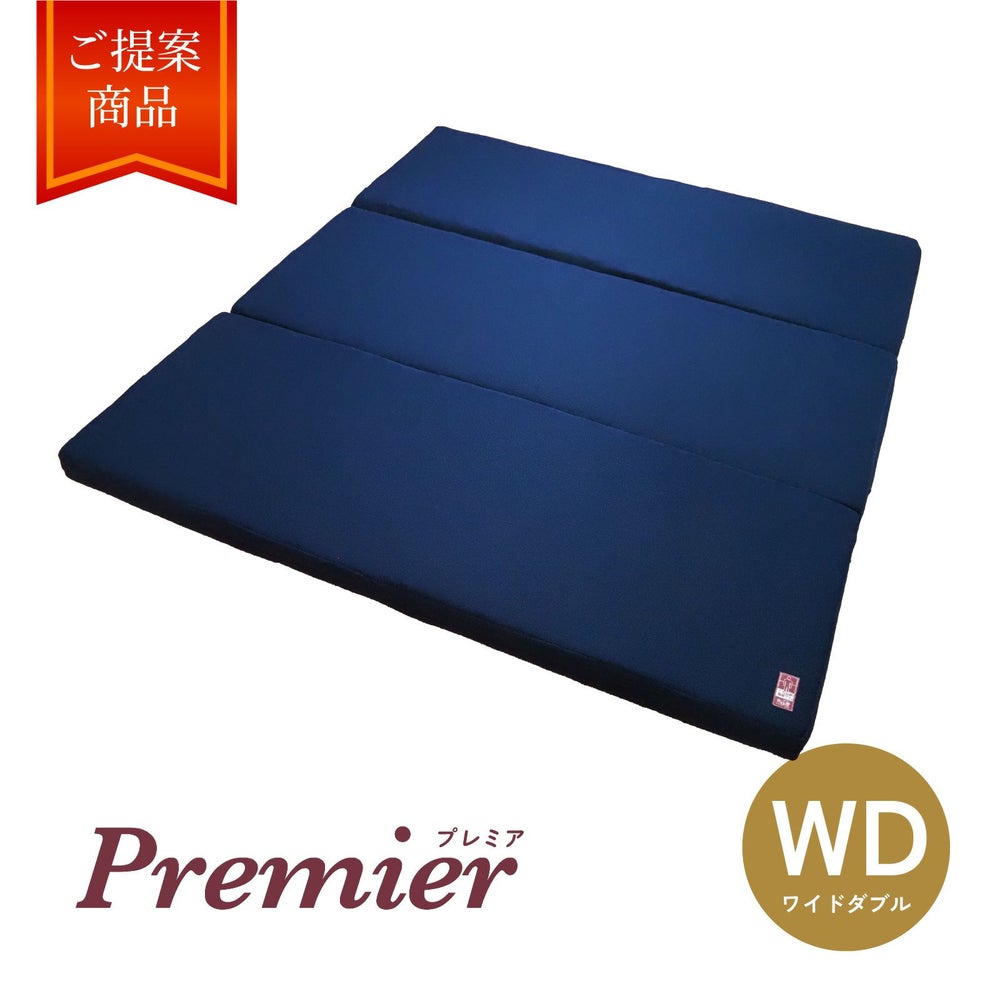 〈特別仕様〉ネムリエプレミア ワイドダブルサイズ