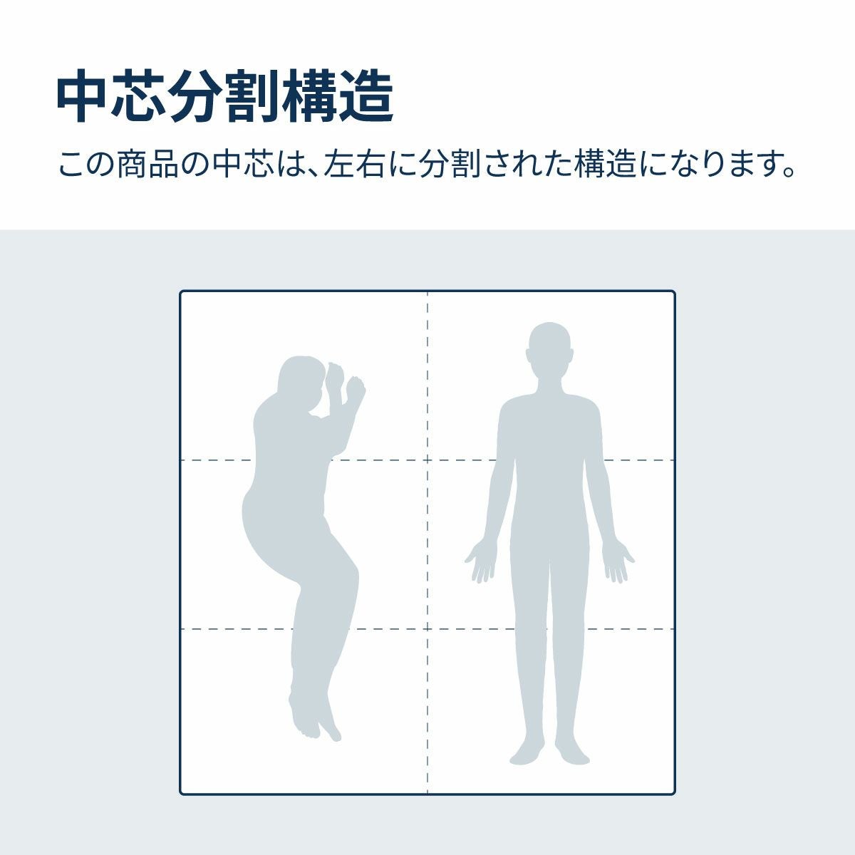 中芯は左右に分割されています