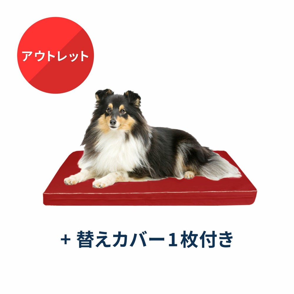 替えカバー付きドッグケアマット 〈アウトレット〉　M-DXサイズ